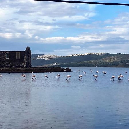 Bodrum Sea View Villa With Access To Private Beach Bogazici ภายนอก รูปภาพ
